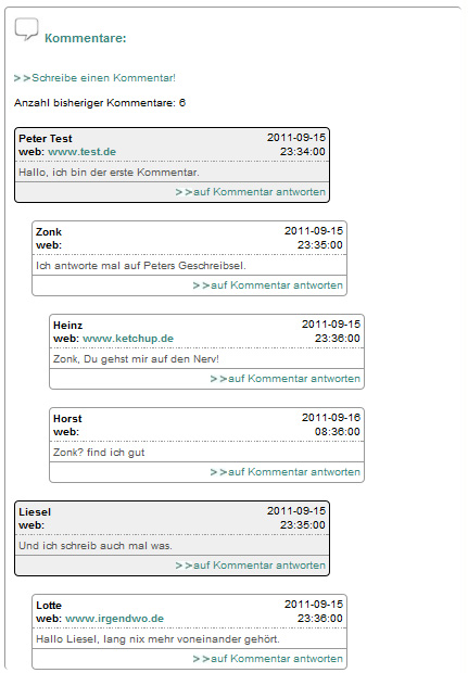 Frontend-Screenshot des Kommentarmoduls