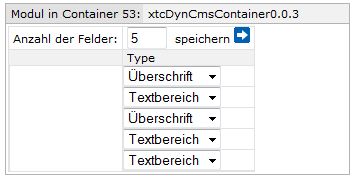 xtcDynCmsContainer Input